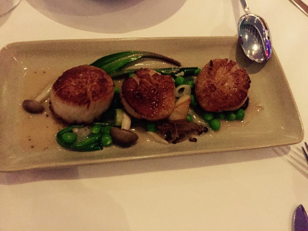 Maine Scallops