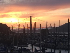 Bonnie Book View
