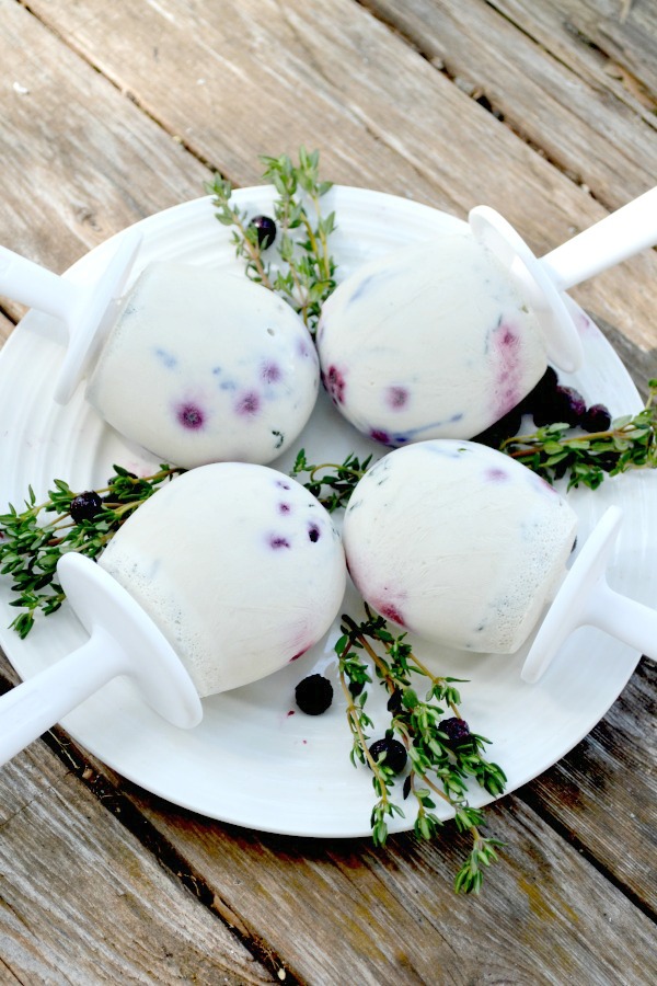 berry & herb coconut ice cream pops