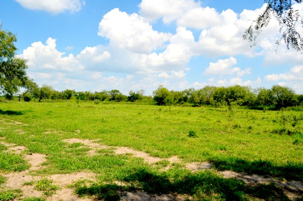 raymondville countryside