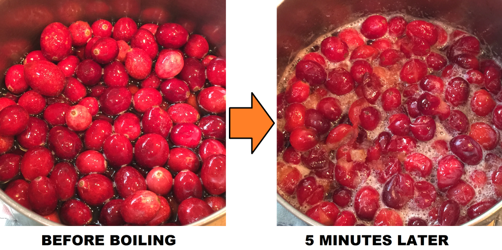 CRANBERRIES BOILING