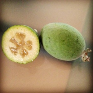 feijoa