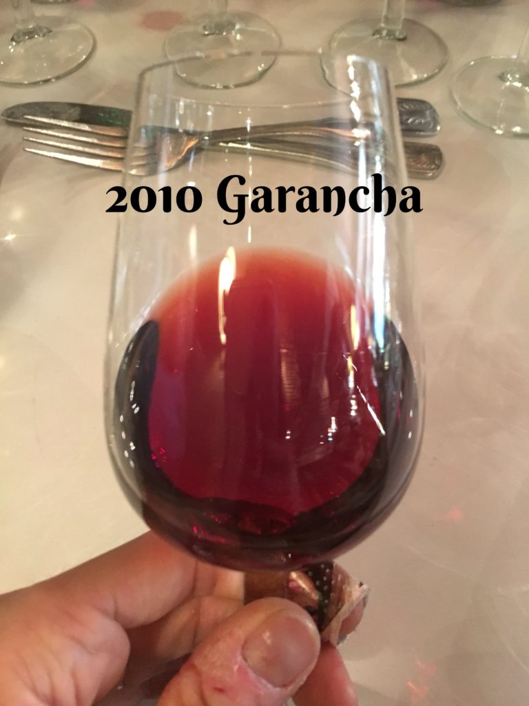 2010 Garancha