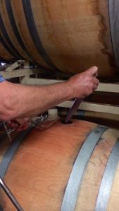 Barrel Tasting