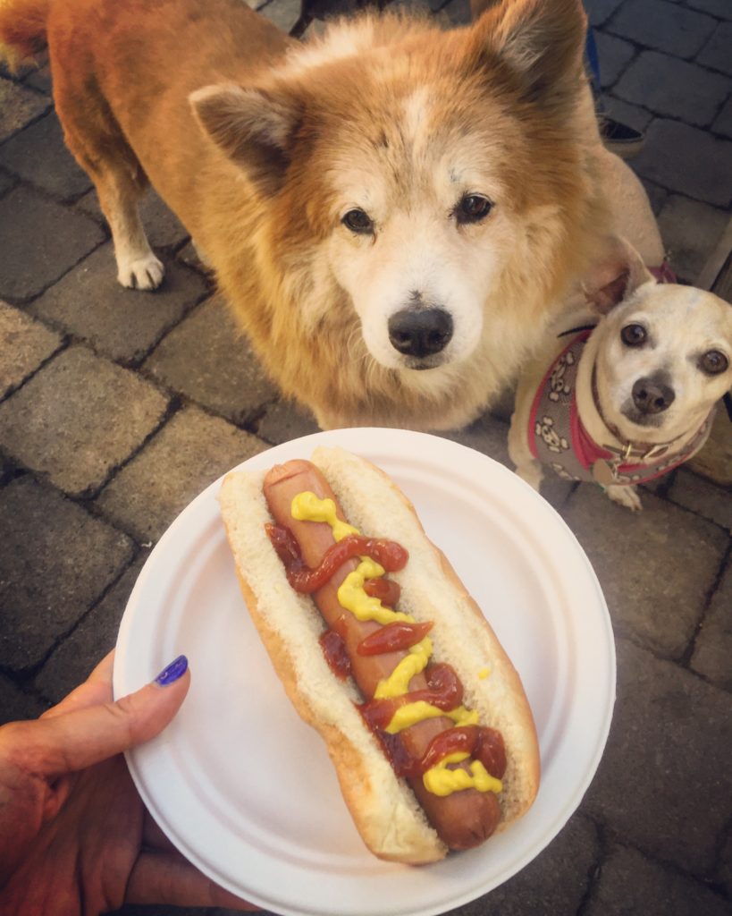 Dog-Day-Afternoon-Hot-Dogs2