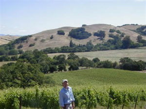 Stew Above Vineyard